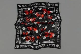 VV Veil